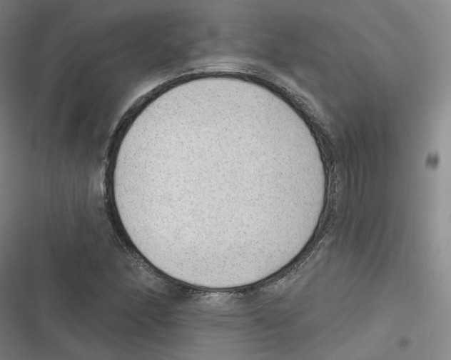 X0000116631166201001081246