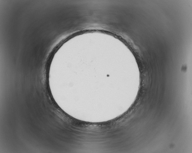 X0000116631167201001081246