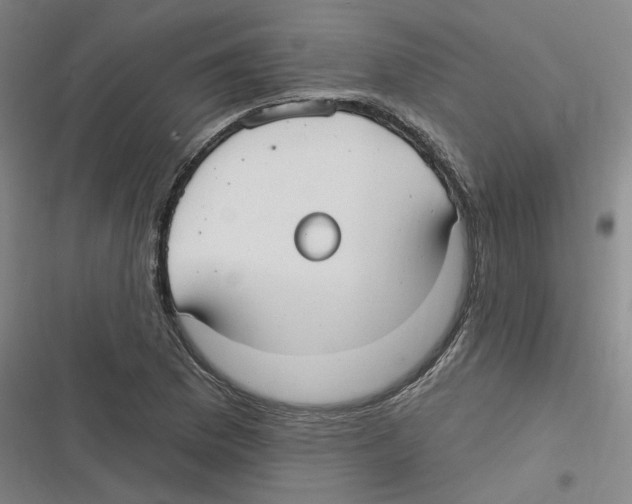 X0000116631169201001081246