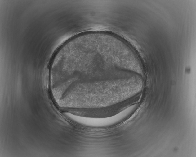X0000116631171201001081246