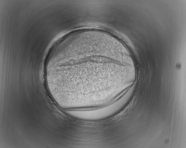 X0000116631172201001081246