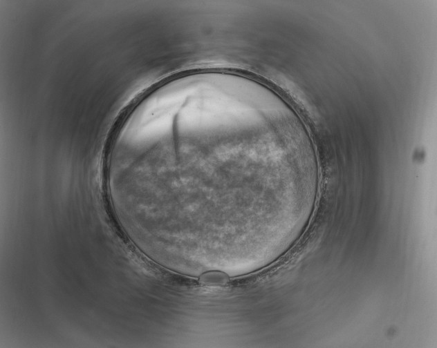 X0000116631173201001081246