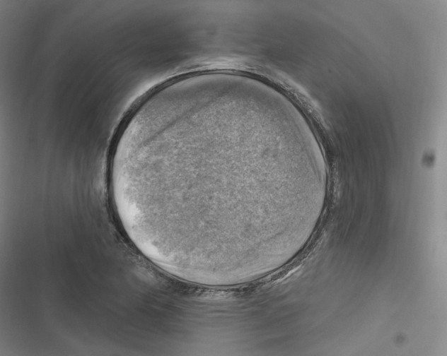 X0000116631174201001081246