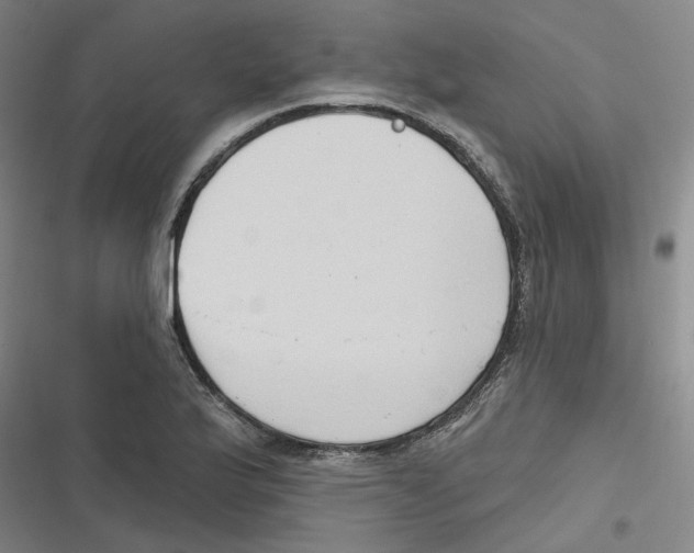 X0000116631175201001081246