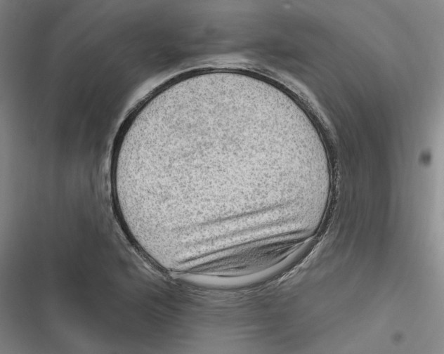 X0000116631176201001081246