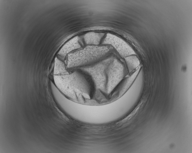 X0000116631177201001081246
