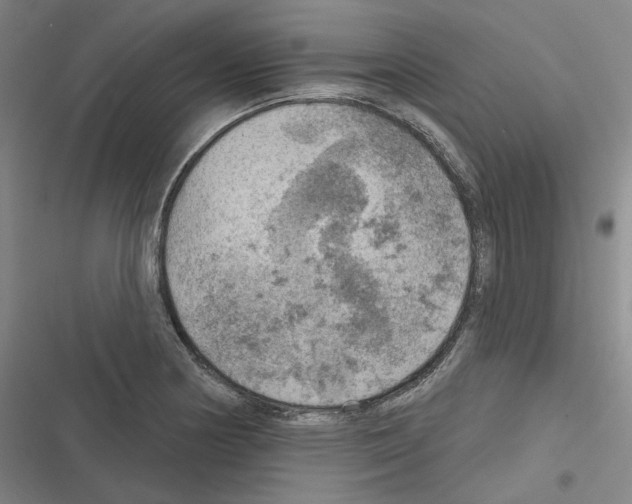 X0000116631178201001081246