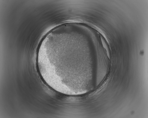 X0000116631179201001081246