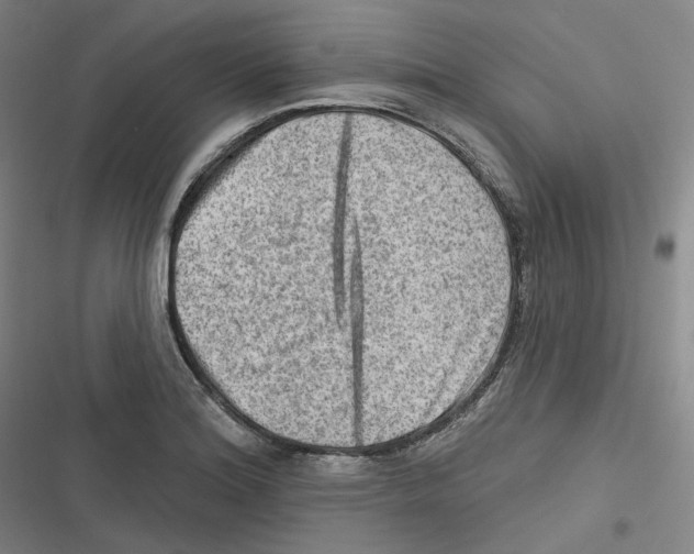 X0000116631180201001081246