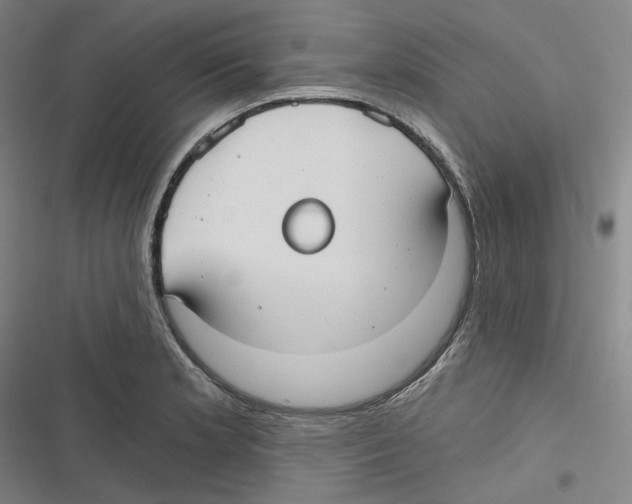 X0000116631181201001081246