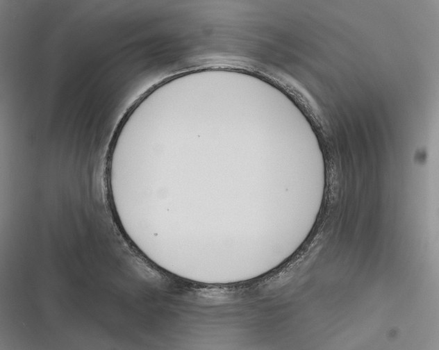X0000116631182201001081246