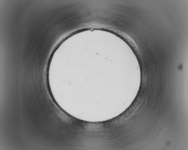 X0000116631183201001081246