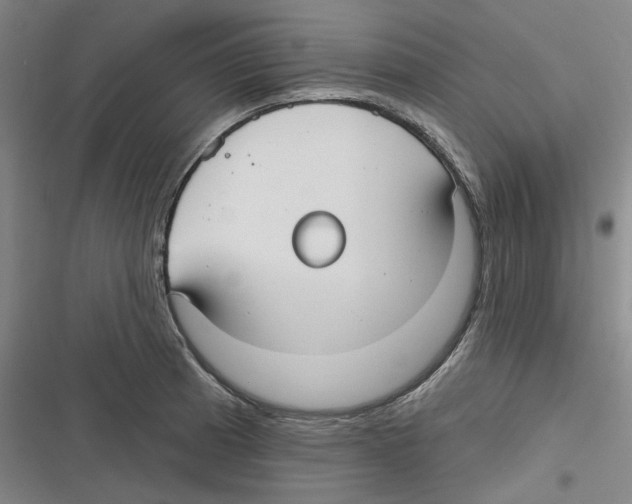 X0000116631185201001081246