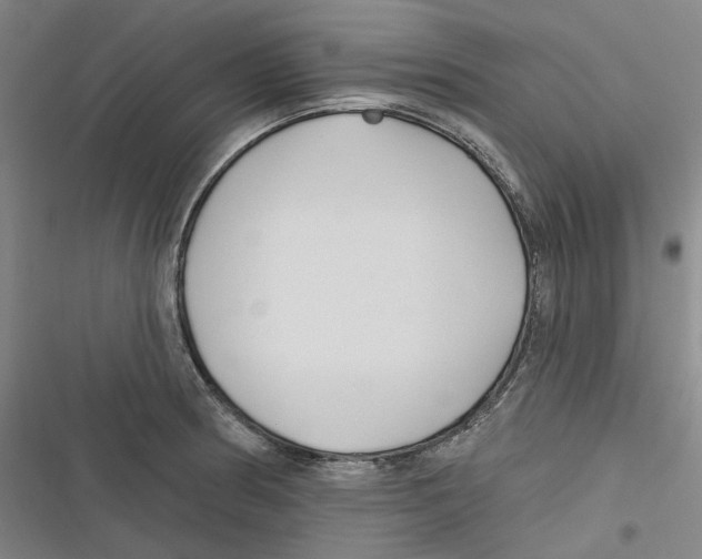 X0000116631186201001081246