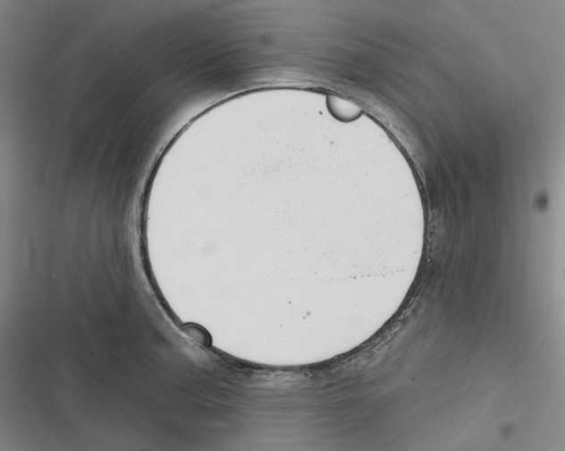 X0000116631187201001081246