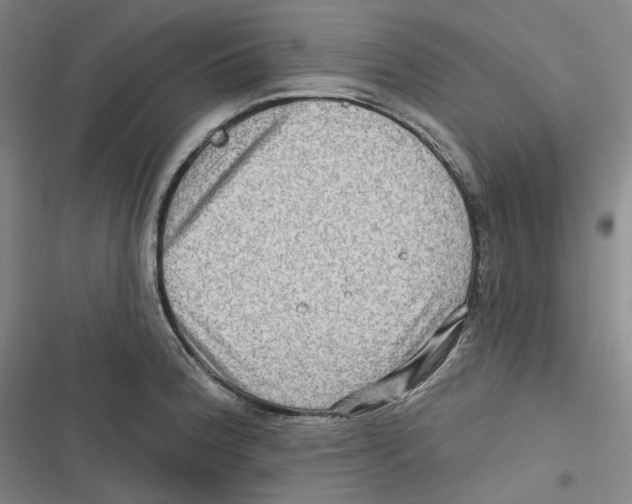 X0000116631188201001081246