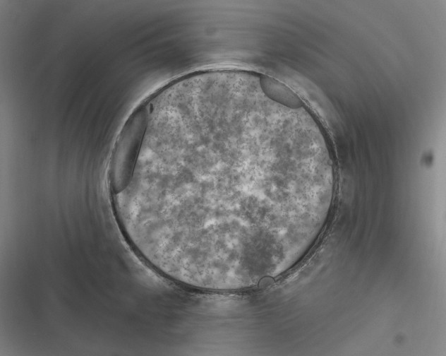 X0000116631189201001081246