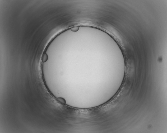 X0000116631190201001081246