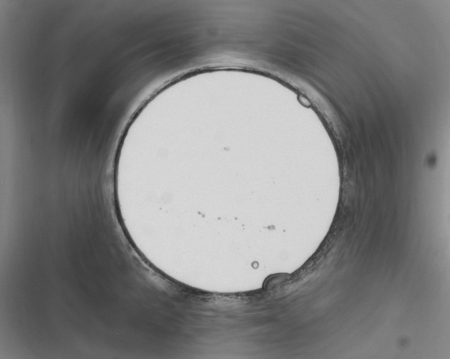 X0000116631191201001081246