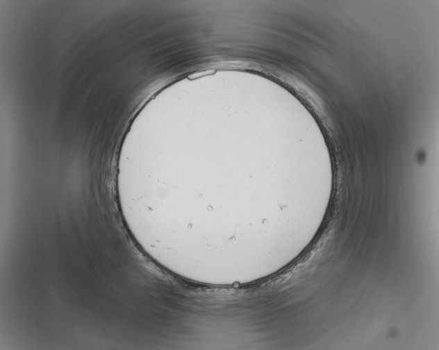 X0000116631193201001081246