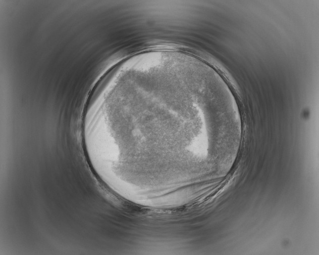 X0000116631194201001081246