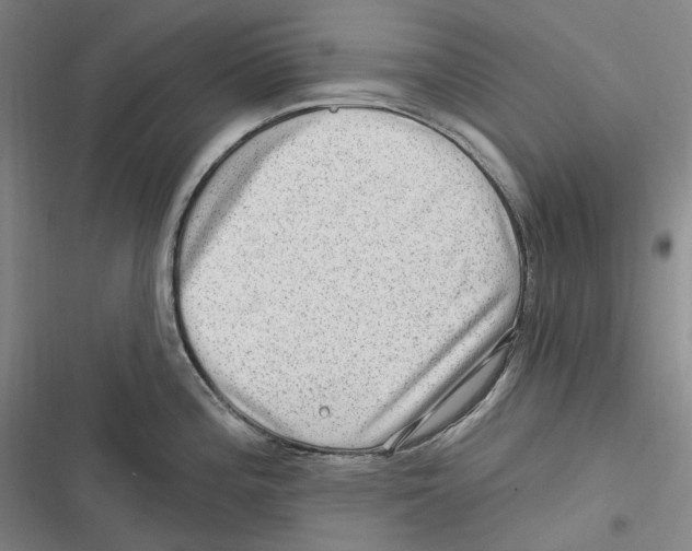 X0000116631196201001081246