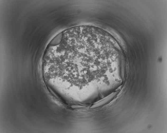 X0000116631198201001081246