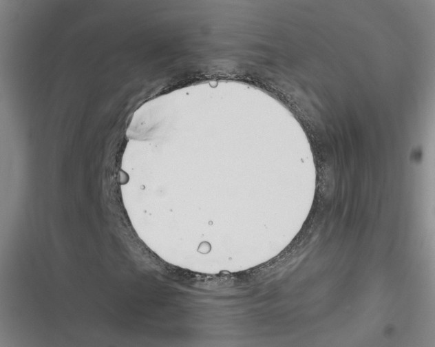X0000116631201201001081245