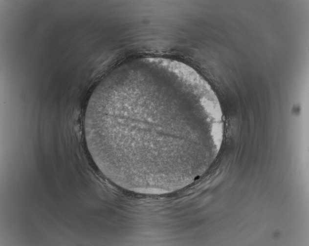 X0000116631202201001081245