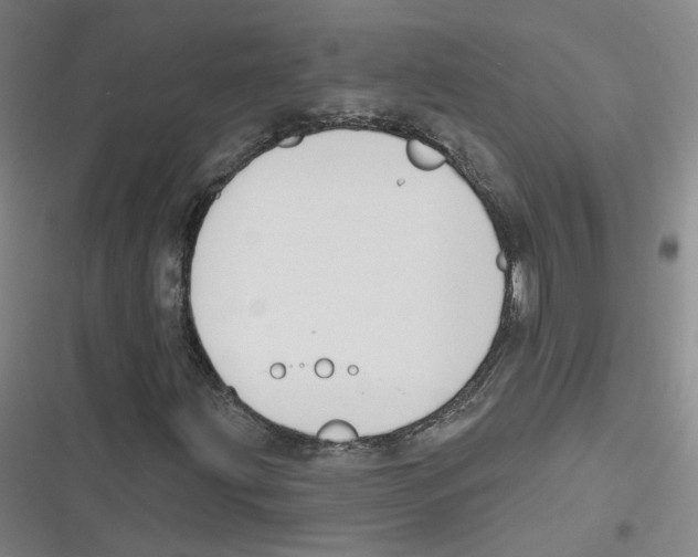 X0000116631203201001081245