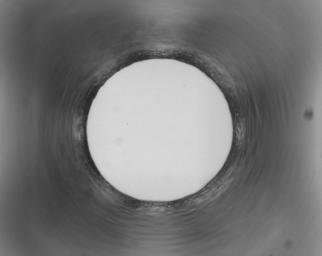 X0000116631204201001081245