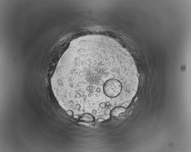 X0000116631205201001081245