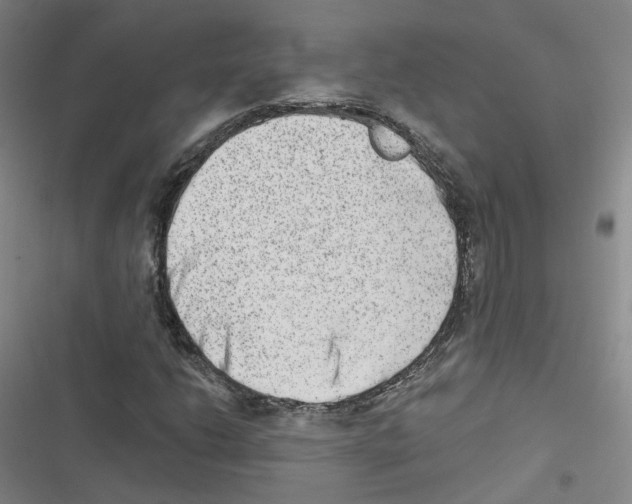 X0000116631206201001081245