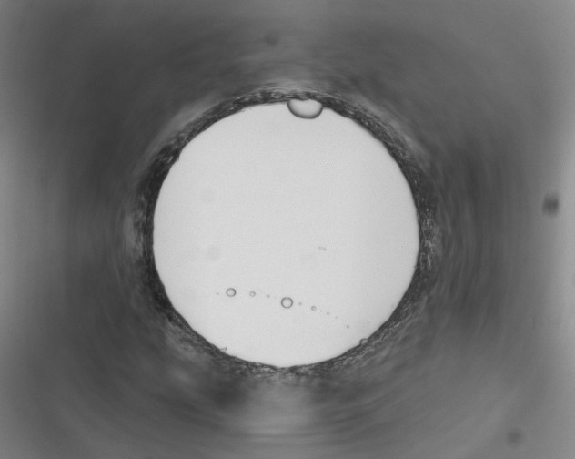 X0000116631207201001081245