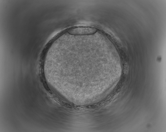 X0000116631208201001081245