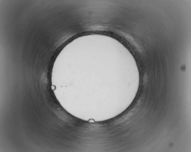 X0000116631209201001081245