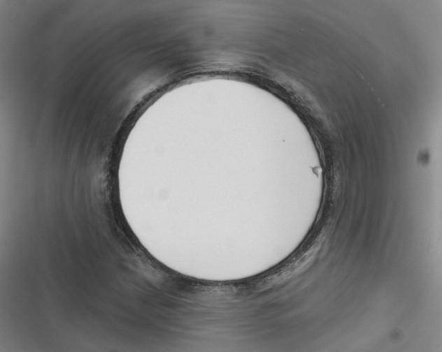 X0000116631210201001081245