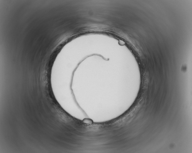 X0000116631211201001081245