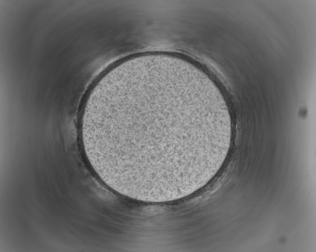 X0000116631212201001081245