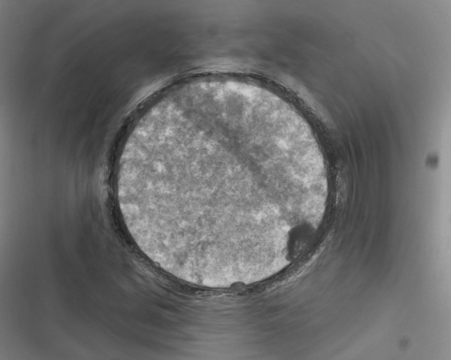 X0000116631213201001081245