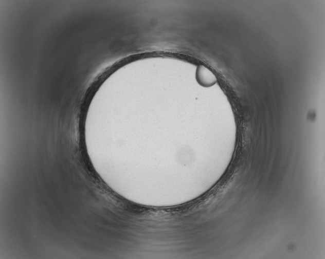 X0000116631214201001081245