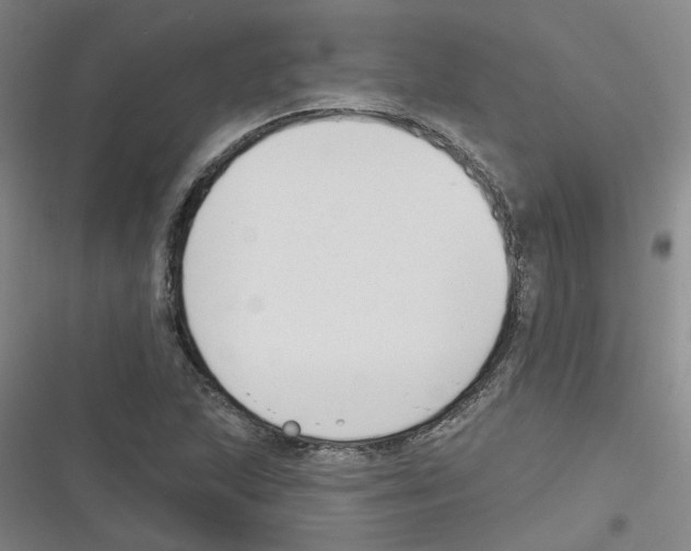 X0000116631215201001081245