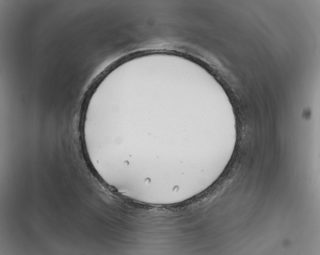 X0000116631216201001081245