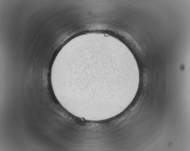 X0000116631217201001081245