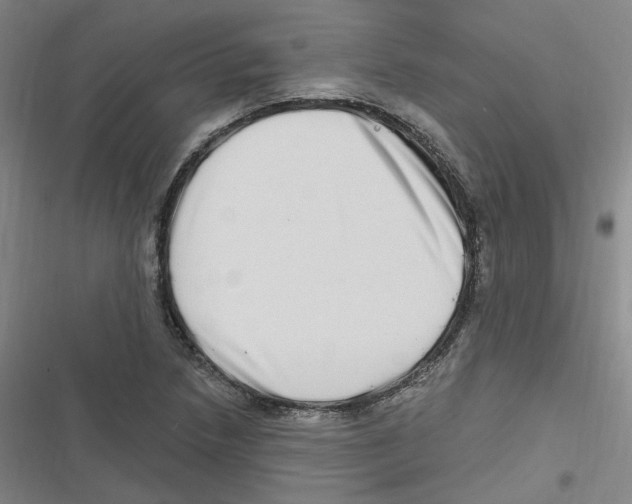 X0000116631218201001081245
