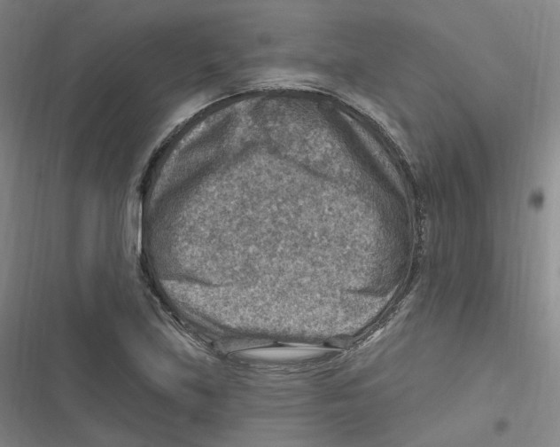 X0000116631219201001081245