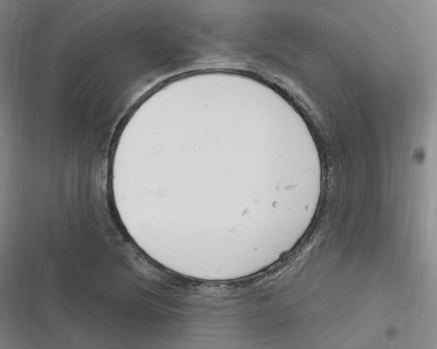 X0000116631220201001081245