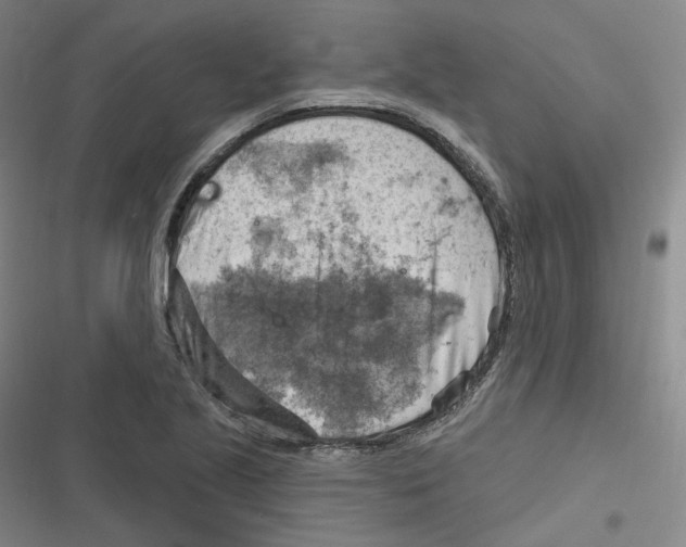 X0000116631221201001081245