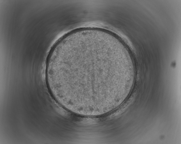 X0000116631224201001081246