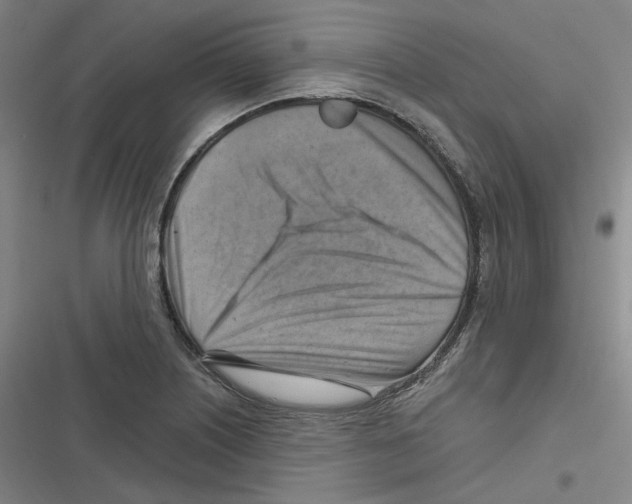 X0000116631226201001081246